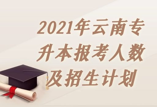 2021年云南专升本报考人数及招生计划