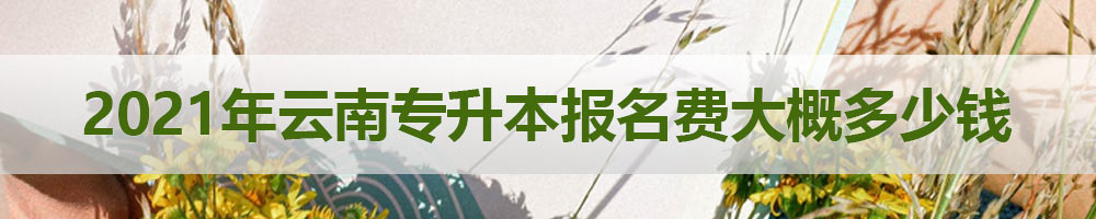 2021年云南专升本报名费大概多少钱