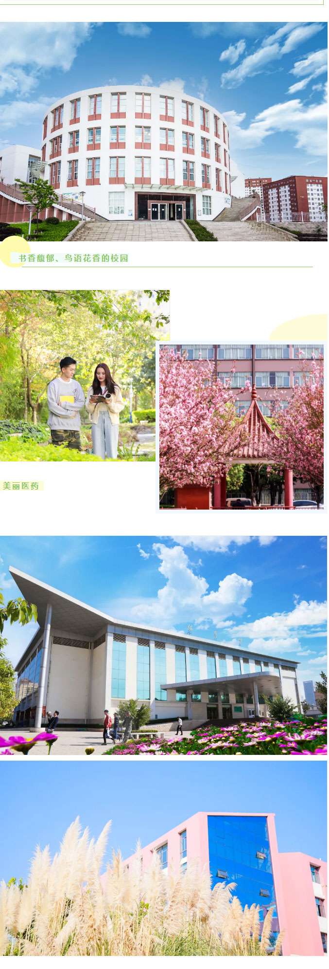 云南医药健康职业学院2021年招生简章