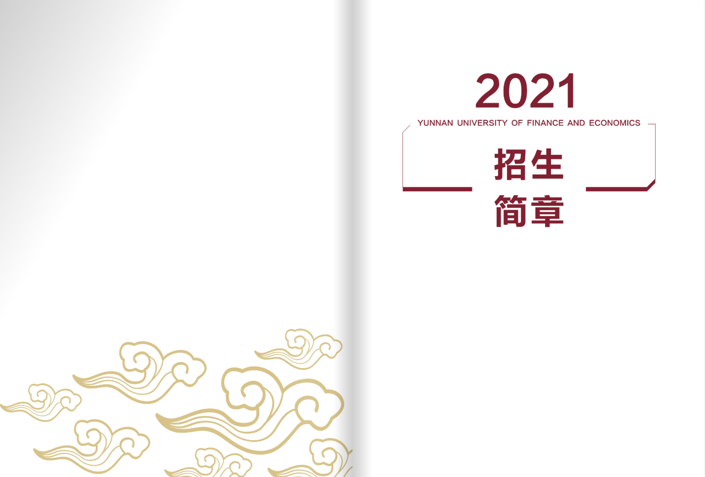 云南财经大学2021年招生简章