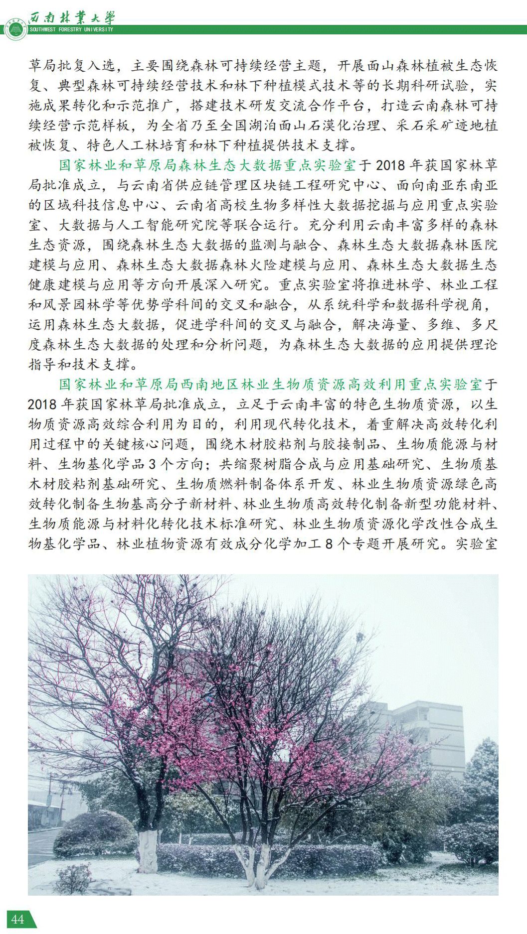 西南林业大学2021年报考指南
