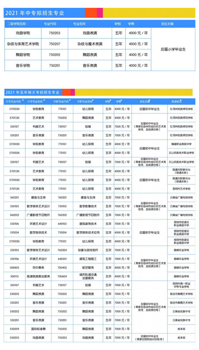 云南文化艺术职业学院2021年招生简章