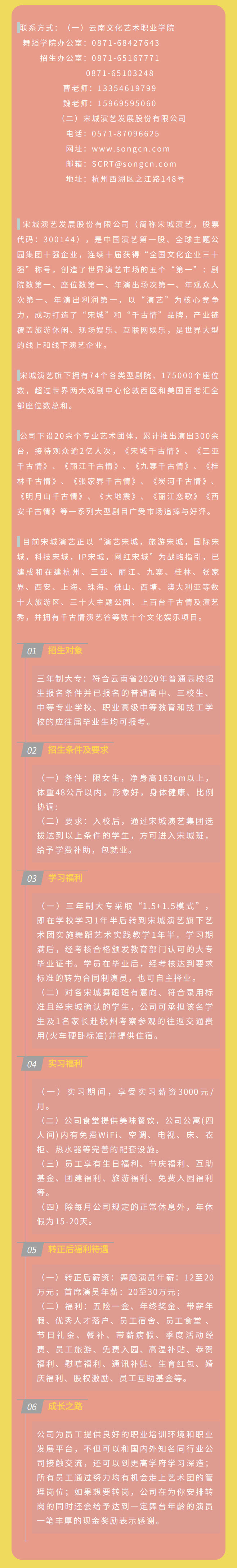 云南文化艺术职业学院2021年招生简章