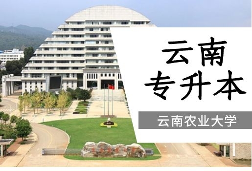 2022年云南农业大学云南专升本招生情况分析