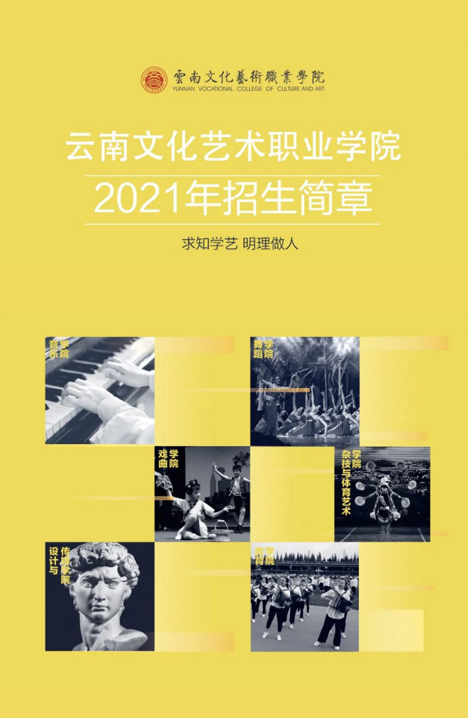 云南文化艺术职业学院2021年招生简章