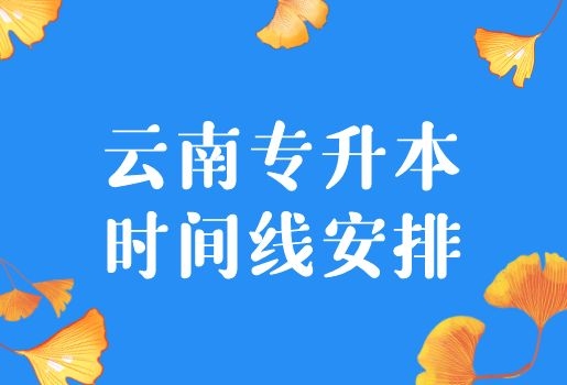 云你专升本