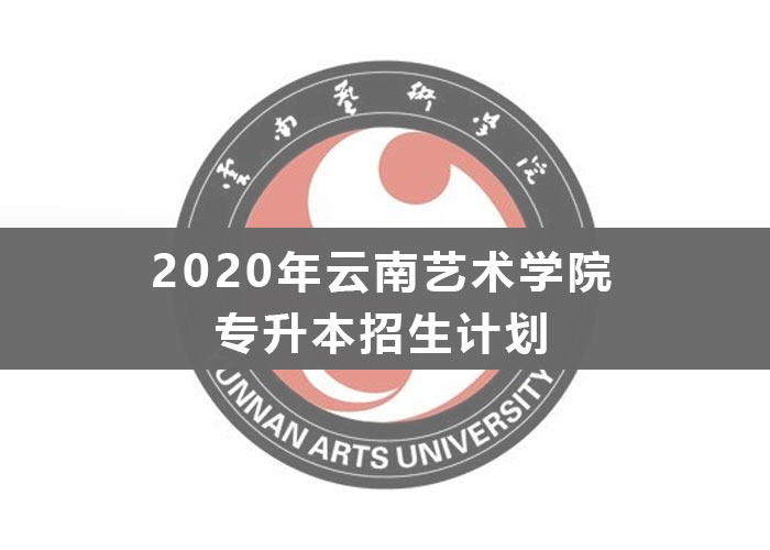 2020年云南艺术学院专升本招生计划