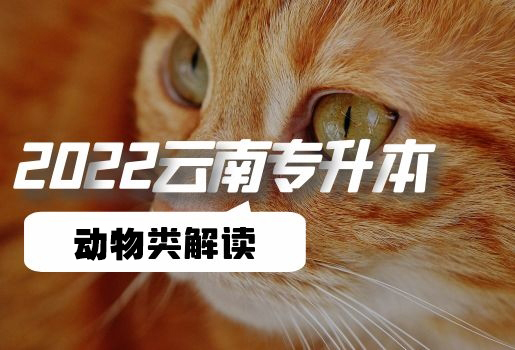 云南专升本