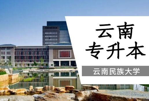 2022年云南师范大学云南专升本招生情况分析